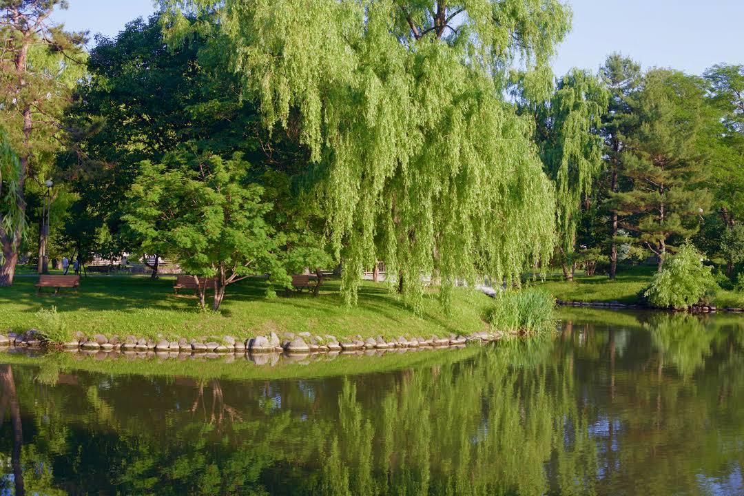 Nakajima-park